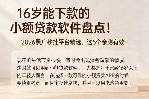 16岁能下款的小额贷款软件盘点！2026黑户秒批平台精选，这5个亲测有效