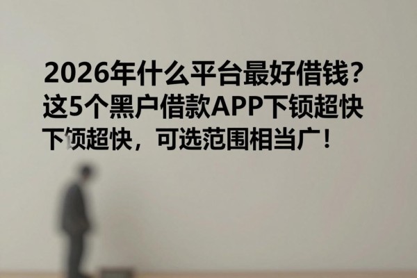 2026年什么平台最好借钱?这5个黑户借款APP下款超快,可选范围相当广!