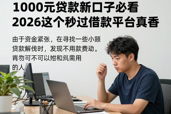 1000元贷款新口子必看!2026这5个秒过借款平台真香
