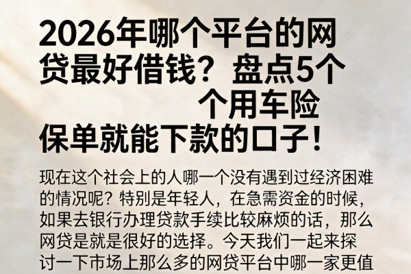 2026年哪个平台的网贷最好借钱?盘点5个用车险保单就能下款的口子!
