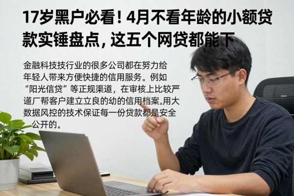 17岁黑户必看！4月不看年龄的小额贷款实锤盘点，这五个网贷都能下