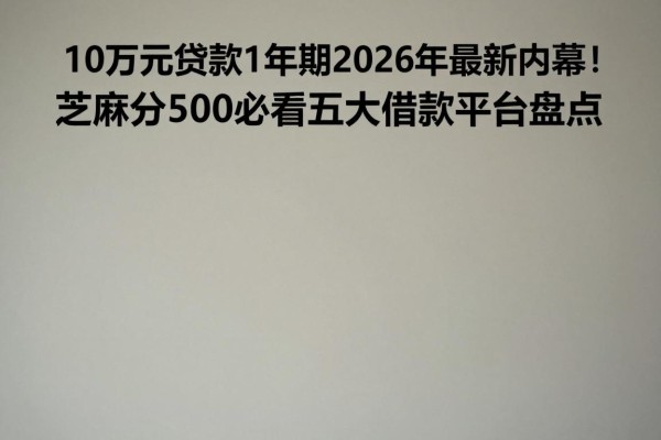 10万元贷款1年期2026年最新内幕！芝麻分500必看五大借款平台盘点