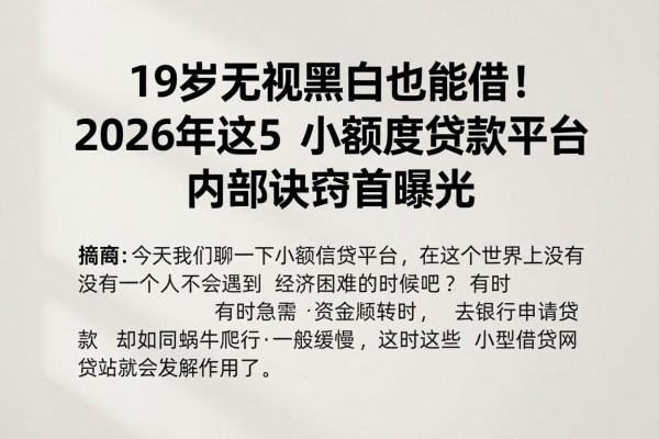19岁无视黑白也能借！2026年这5个小额度贷款平台内部诀窍首曝光