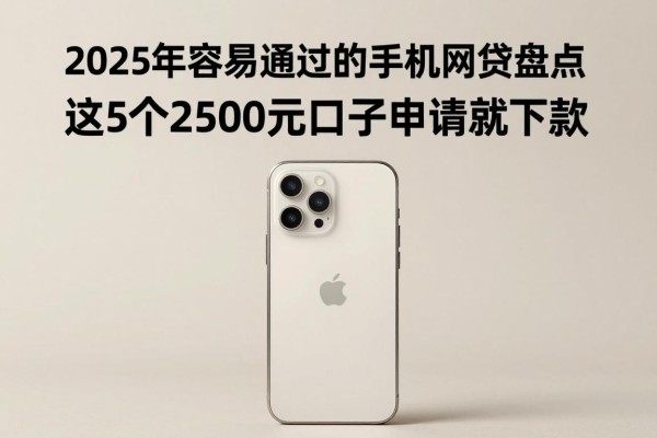 2025年容易通过的手机网贷盘点：这5个2500元口子申请就下款