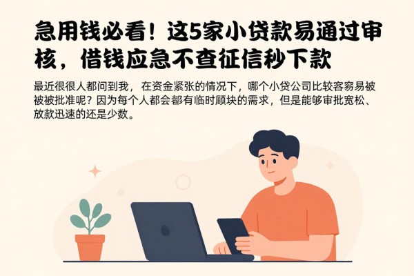 --急用钱必看!这5家小额贷款易通过审核,借钱应急不查征信秒下款--