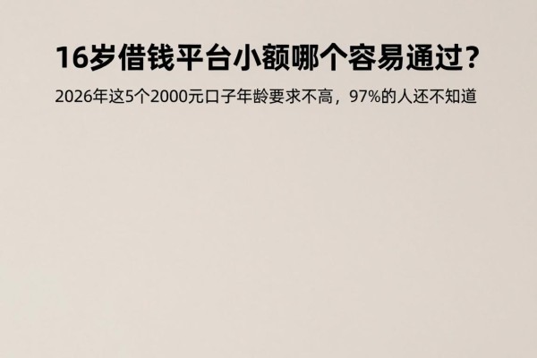 16岁借钱平台小额哪个容易通过？2026年这5个2000元口子年龄要求不高，97%的人还不知道