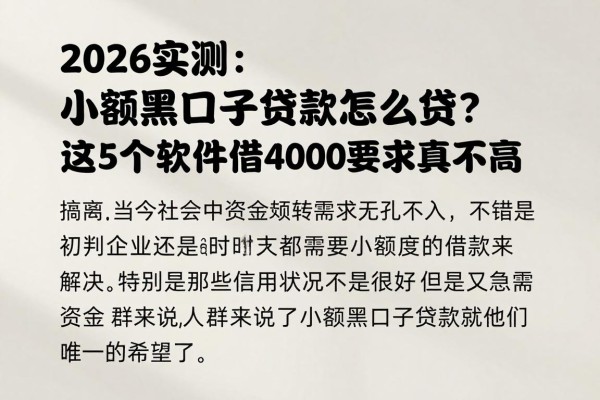 2026实测：小额黑口子贷款怎么贷？这5个软件借4000要求真不高