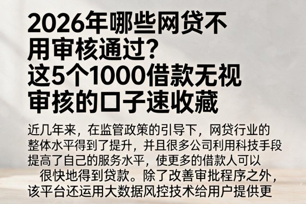 2026年哪些网贷不用审核通过？这5个1000借款无视审核的口子速收藏