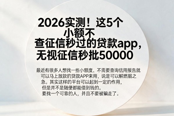 2026实测！这5个小额不查征信秒过的贷款app，无视征信秒批50000