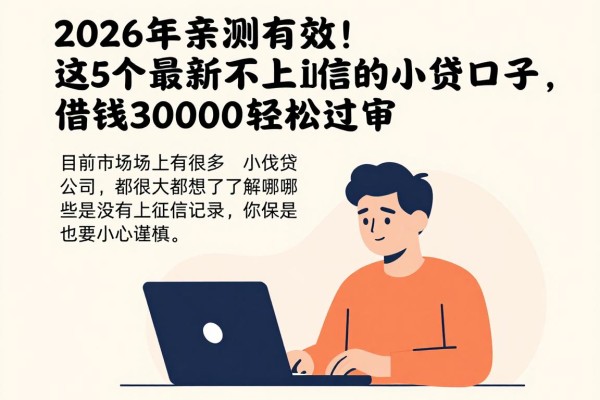 2026年亲测有效！这5个最新不上征信的小贷口子，借钱30000轻松过审