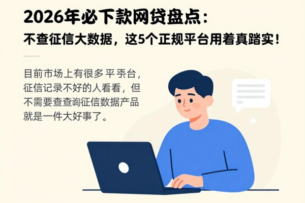 2026年必下款网贷盘点：不查征信大数据，这5个正规平台用着真踏实！