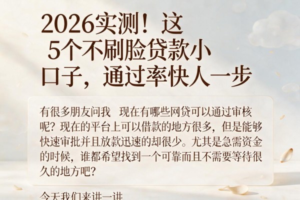 2026实测！这5个不刷脸贷款小口子，通过率快人一步