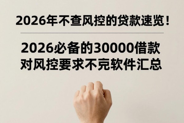 2026年不查风控的贷款速览!2026必备的30000借款对风控要求不高软件汇总