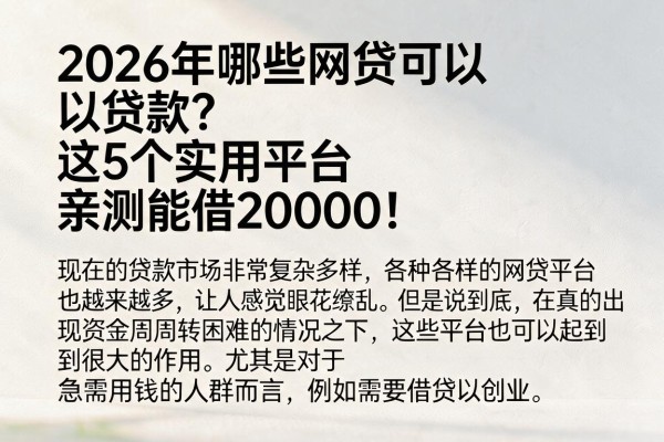 2026年哪些网贷可以贷款？这5个实用平台亲测能借20000！