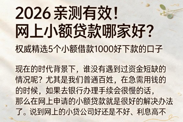 2026亲测有效!网上小额贷款哪家好?权威精选5个小额借款1000好下款的口子