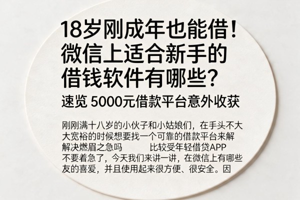 18岁刚成年也能借！微信上适合新手的借钱软件有哪些？速览5000元借款平台意外收获