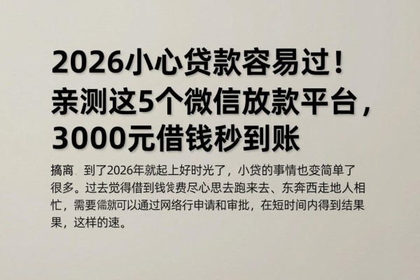 2026小额贷款容易过!亲测这5个微信放款平台,3000元借钱秒到账