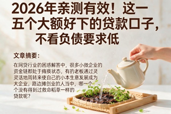 2026年亲测有效！这五个大额好下的贷款口子，不看负债要求低