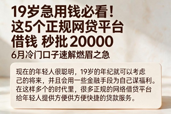 19岁急用钱必看!这5个正规网贷平台借钱秒批20000,6月冷门口子速解燃眉之急