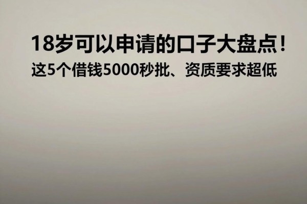 18岁可以申请的口子大盘点!这5个借钱5000秒批、资质要求超低