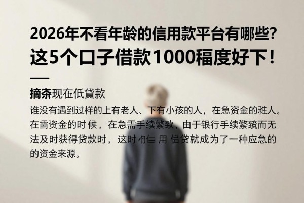 2026年不看年龄的信用贷款平台有哪些？这5个口子借款1000额度好下！