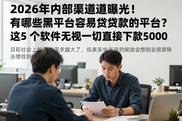 2026年内部渠道曝光！有哪些黑平台容易贷款的平台？这5个软件无视一切直接下款5000