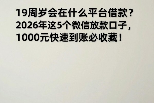 19周岁能在什么平台借款？2026年这5个微信放款口子，1000元快速到账必收藏！