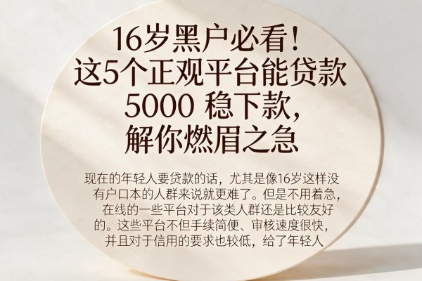 16岁黑户必看！这5个正规平台能贷款5000稳下款，解你燃眉之急