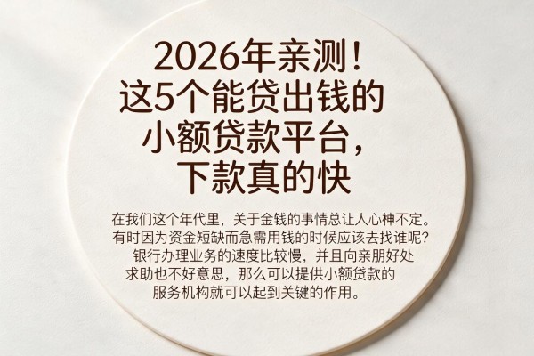 2026年亲测！这5个能贷出钱的小额贷款平台，下款真的快