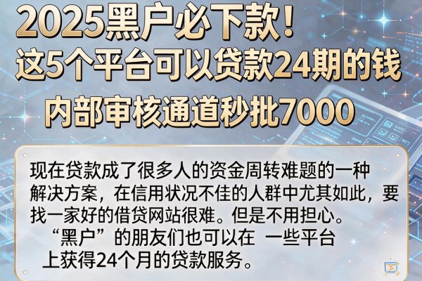 2025黑户必下款！这5个平台可以贷款24期的钱，内部审核通道秒批7000