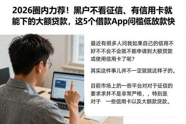 2026圈内力荐！黑户不看征信、有信用卡就能下的大额贷款，这5个借款app门槛低放款快