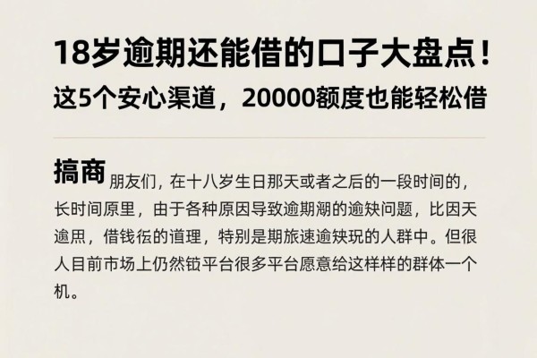 18岁逾期还能借的口子大盘点!这5个安心渠道,20000额度也能轻松借