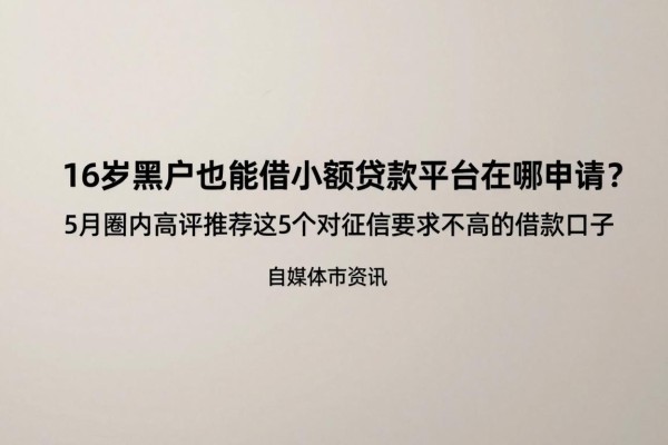 16岁黑户也能借的小额贷款平台在哪申请？5月圈内高评推荐这5个对征信要求不高的借款口子