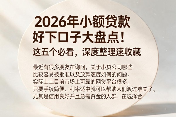 2026年小额贷款好下口子大盘点!这五个必看,深度整理速收藏