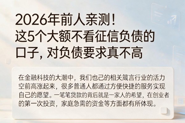 2026年前人亲测！这5个大额不看征信负债的口子，对负债要求真不高