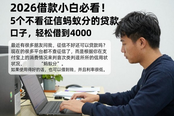 2026借款小白必看!5个不看征信看蚂蚁分的贷款口子,轻松借到4000
