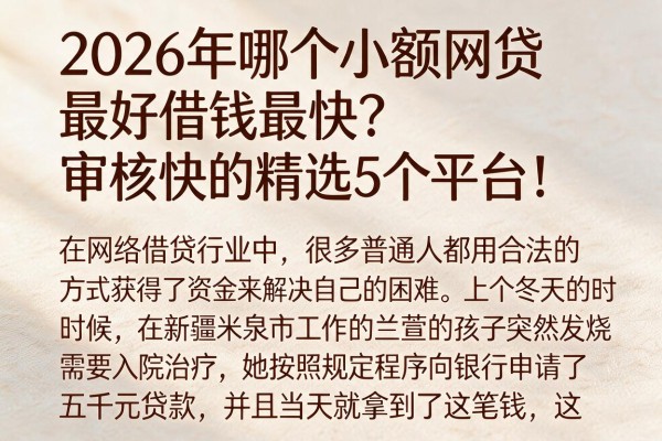 2026年哪个小额网贷最好借钱最快？审核快的精选5个平台！
