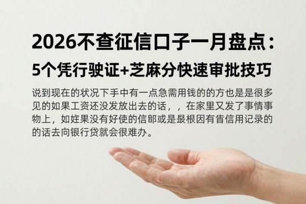 2026不查征信口子一月盘点:5个凭行驶证+芝麻分快速审批技巧