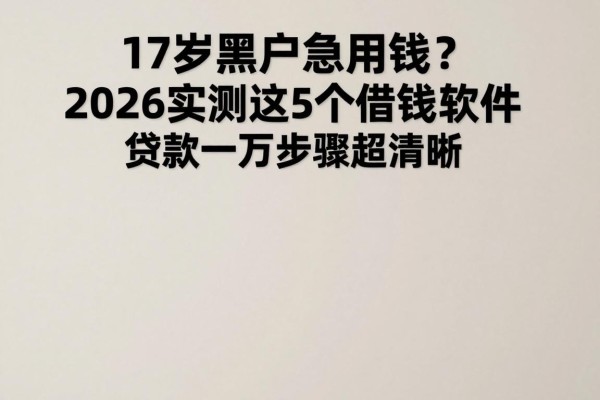 17岁黑户急用钱?2026实测这5个借钱软件,贷款一万步骤超清晰