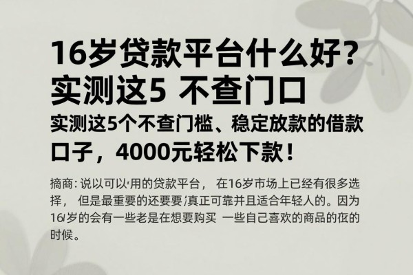 16岁贷款平台什么好？实测这5个不查门槛、稳定放款的借款口子，4000元轻松下款！