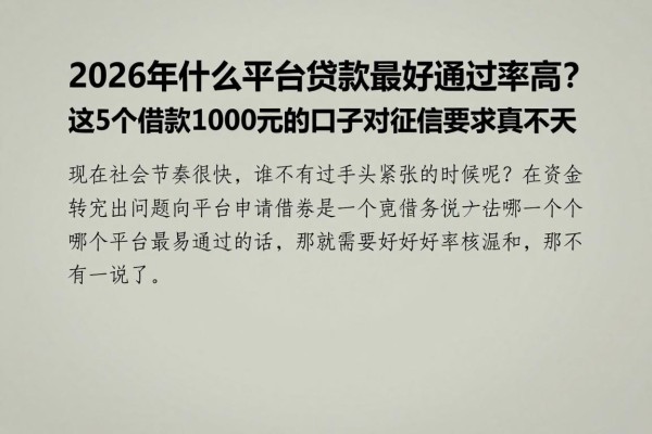 2026年什么平台贷款最好通过率高？这5个借款1000元的口子对征信要求真不高