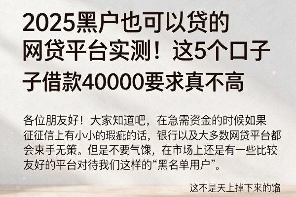 2025黑户也可以贷的网贷平台实测!这5个口子借款40000要求真不高
