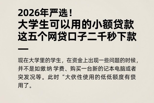 2026年严选！大学生可以用的小额贷款，这五个网贷口子二千秒下款