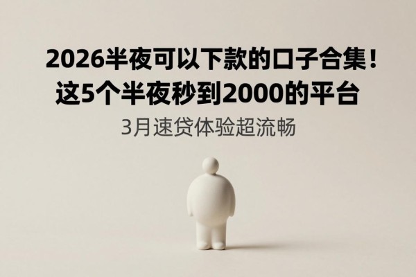 2026半夜可以下款的口子合集！这5个半夜秒到2000的平台，3月速贷体验超流畅