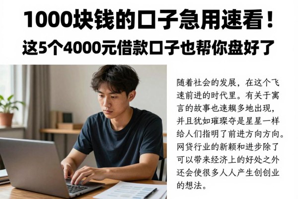 1000块钱的口子急用速看！这5个4000元借款口子也帮你盘好了
