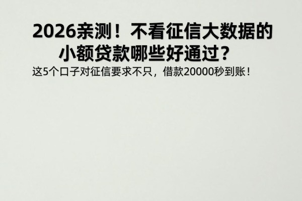 2026亲测!不看征信大数据的小额贷款哪些好通过?这5个口子对征信要求不高,借款20000秒到账!