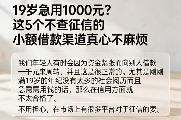 19岁急用1000元？这5个不查征信的小额借款渠道真心不麻烦