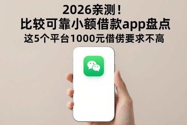 2026亲测！比较可靠的小额借款app盘点，这5个平台1000元借款要求不高