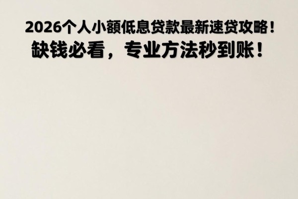 2026个人小额低息贷款最新速贷攻略!缺钱必看,专业方法秒到账!