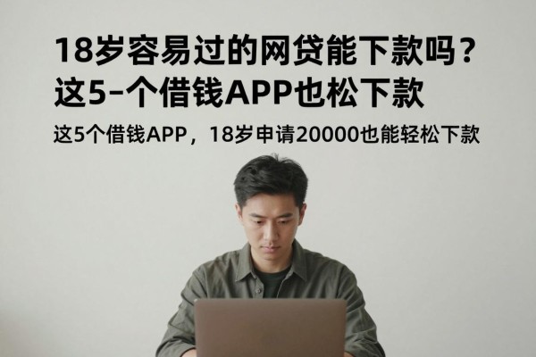 18岁容易过的网贷能下款吗?这5个借钱APP,18岁申请20000也能轻松下款